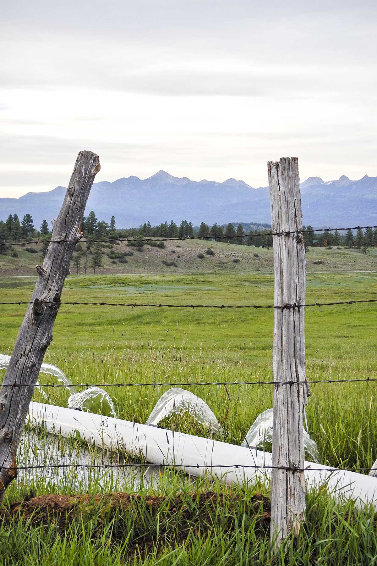 Jackson Creek Ranch property picture 19 of 44
