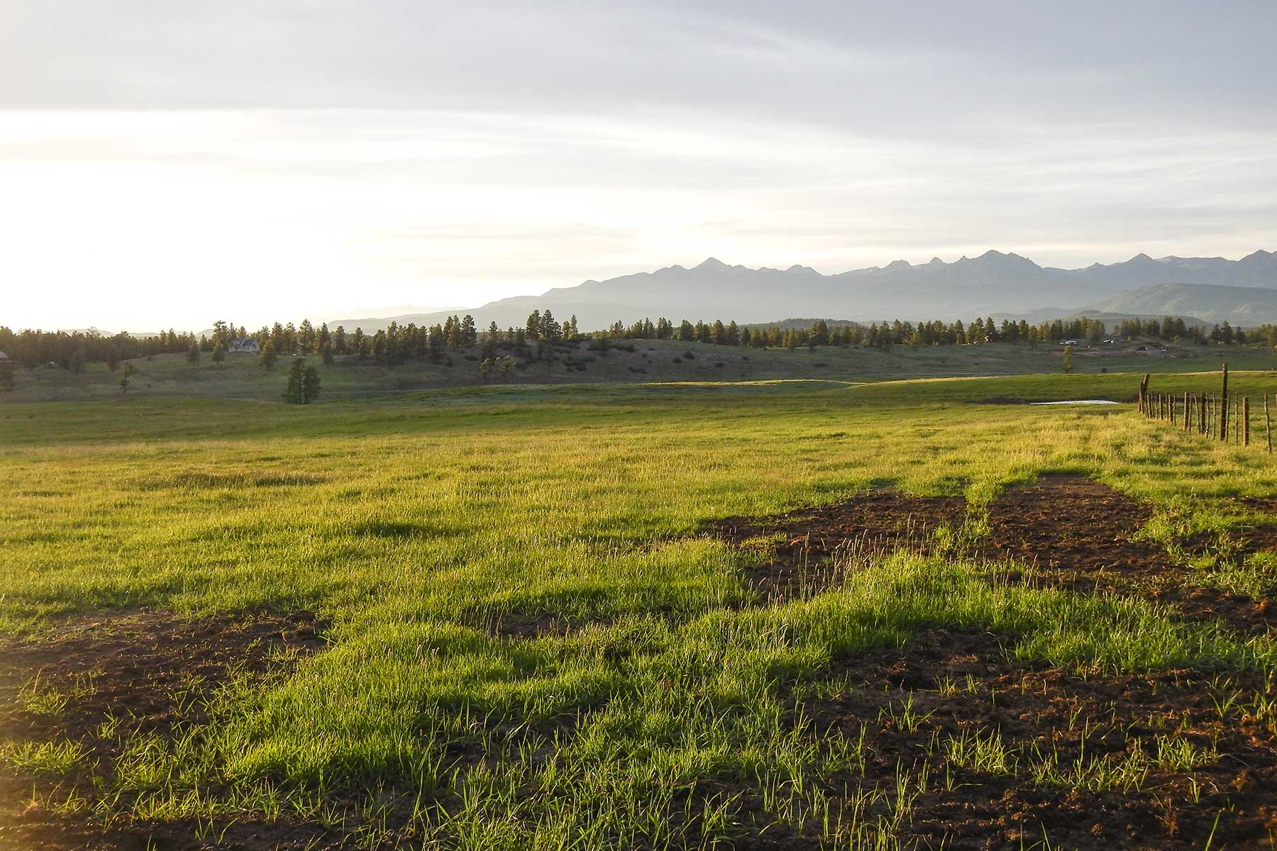 Jackson Creek Ranch property picture 20 of 44