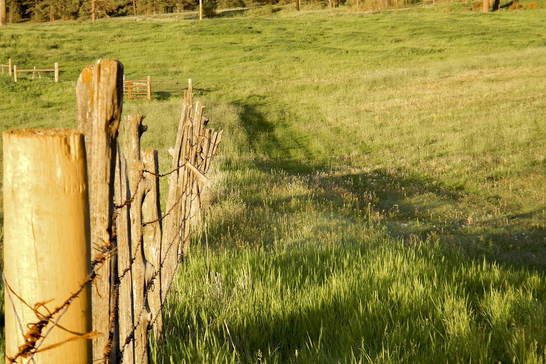 Jackson Creek Ranch property picture 21 of 44