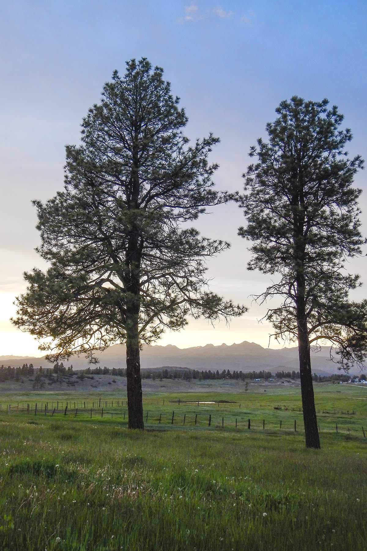 Jackson Creek Ranch property picture 22 of 44