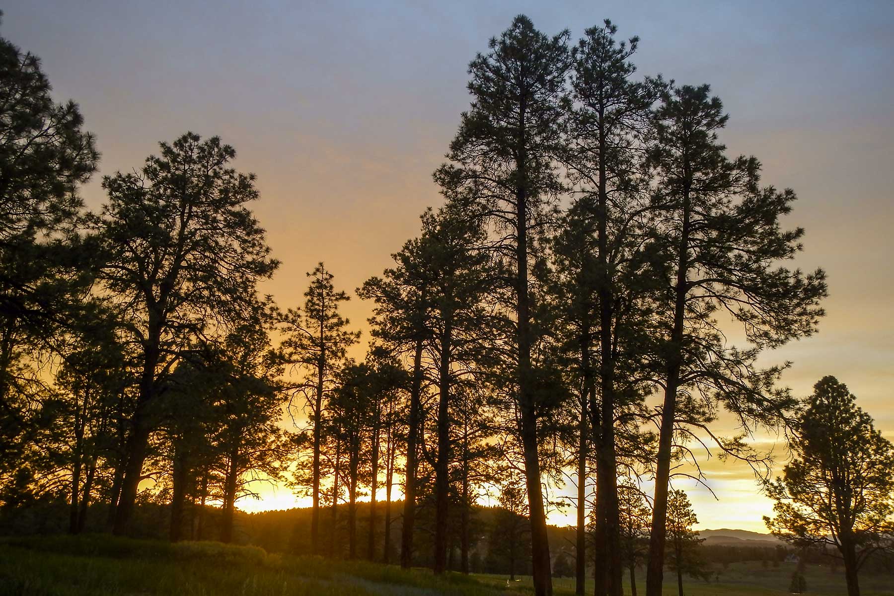 Jackson Creek Ranch property picture 23 of 44