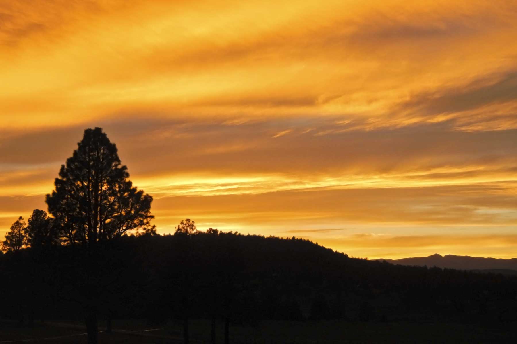 Jackson Creek Ranch property picture 24 of 44