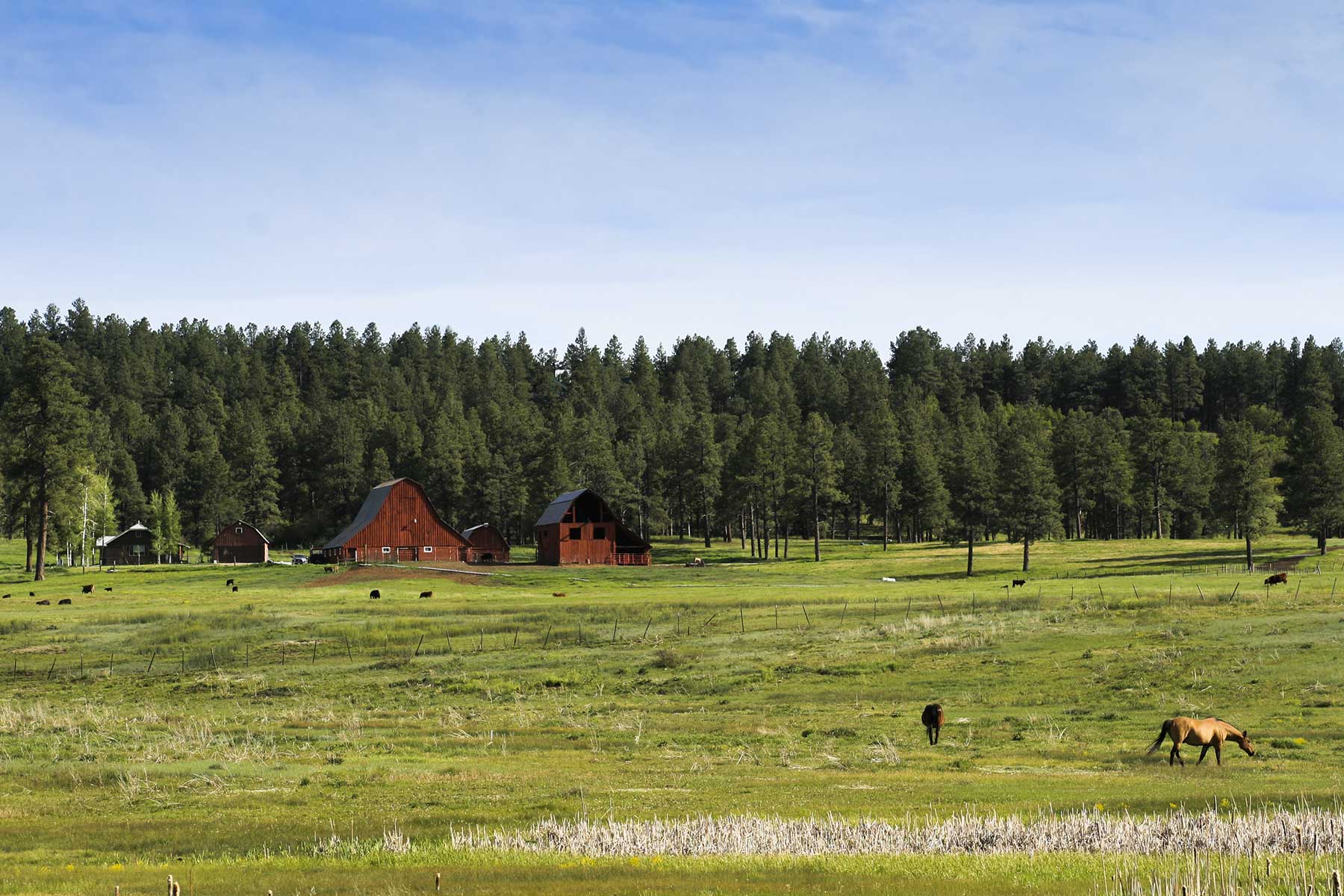 Jackson Creek Ranch property picture 25 of 44