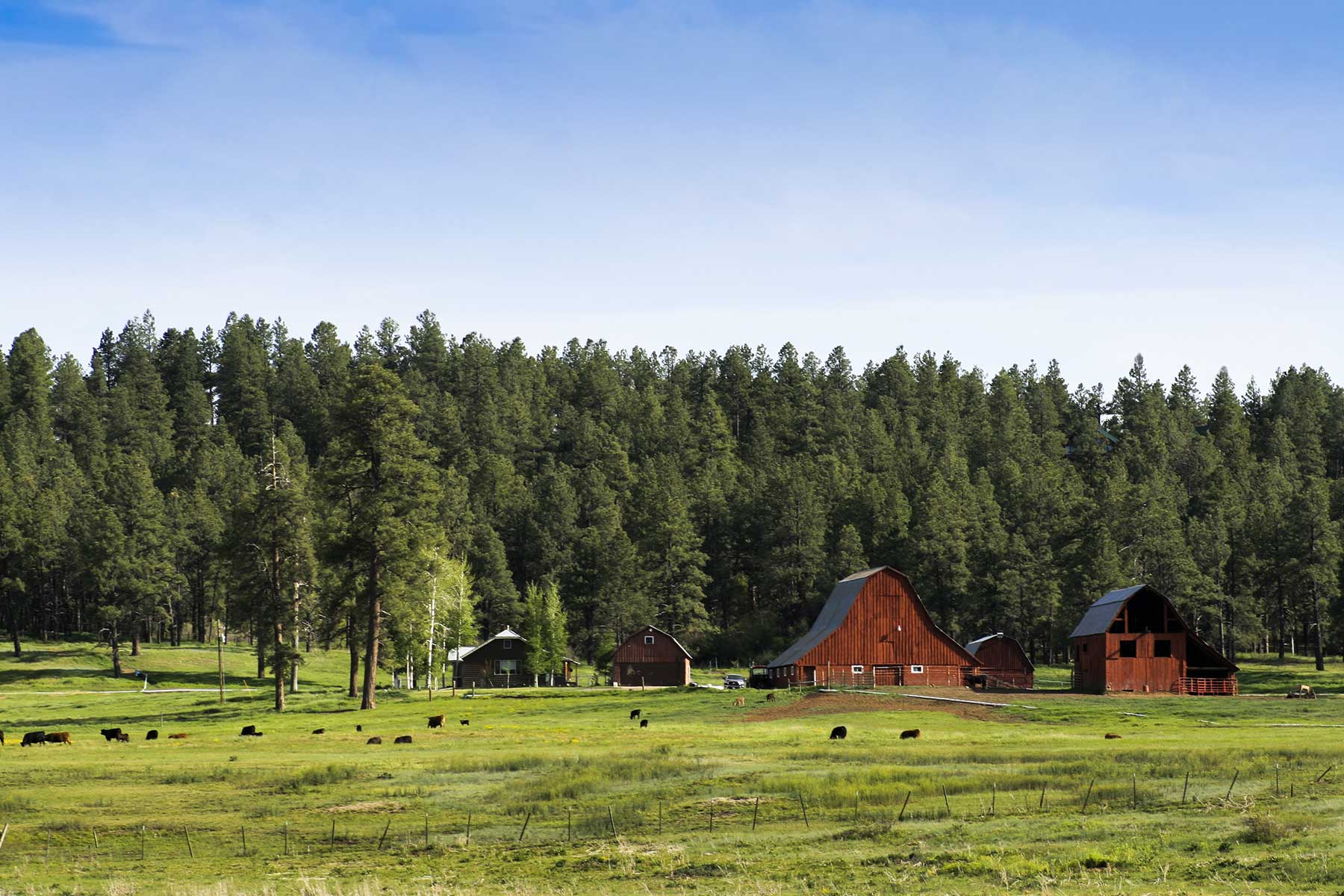 Jackson Creek Ranch property picture 26 of 44