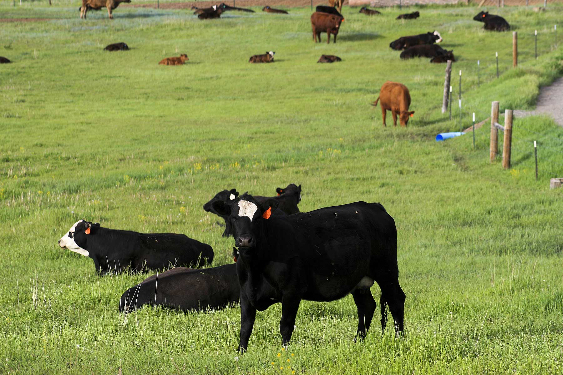 Jackson Creek Ranch property picture 27 of 44