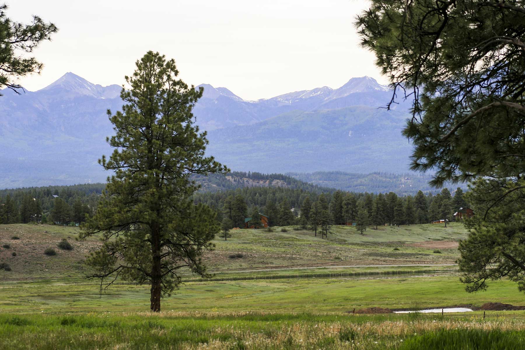 Jackson Creek Ranch property picture 34 of 44