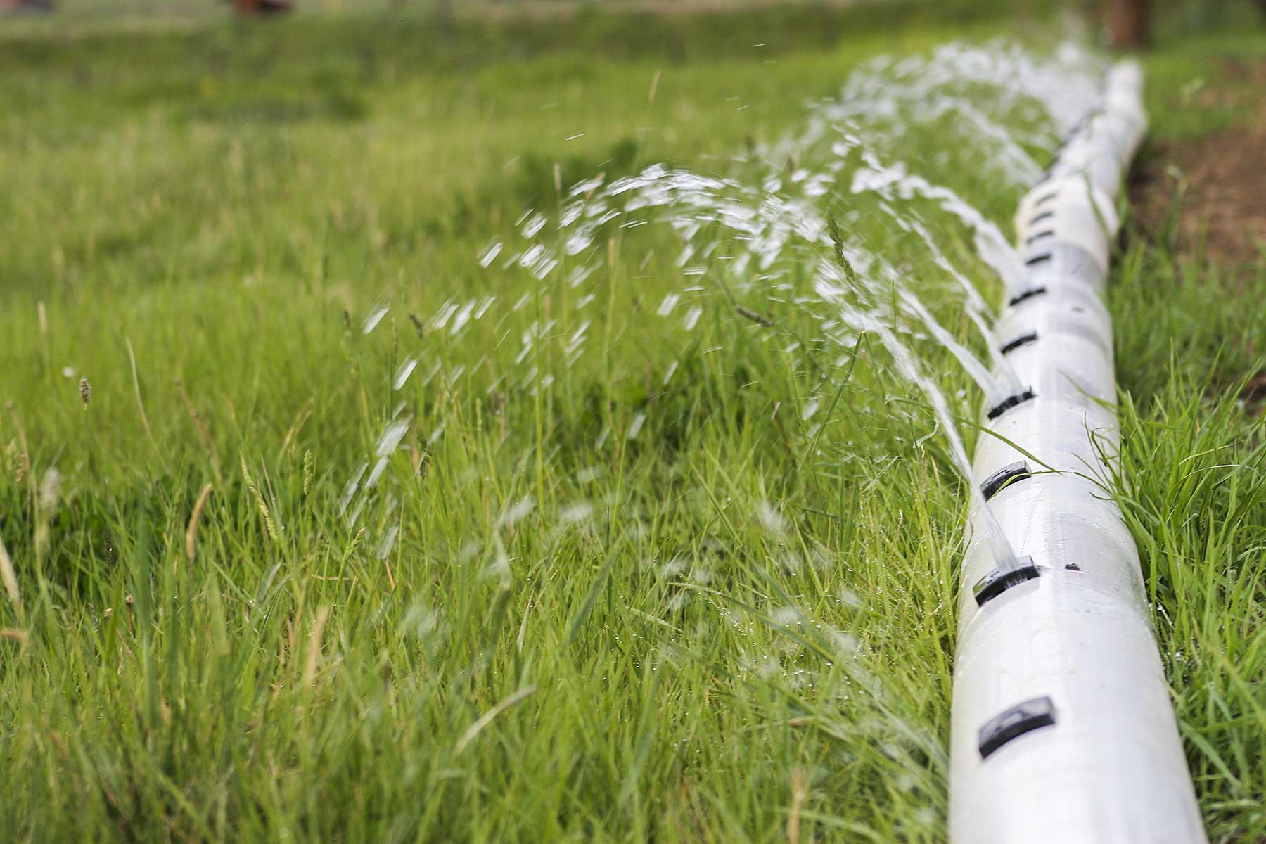 Jackson Creek Ranch property picture 35 of 44