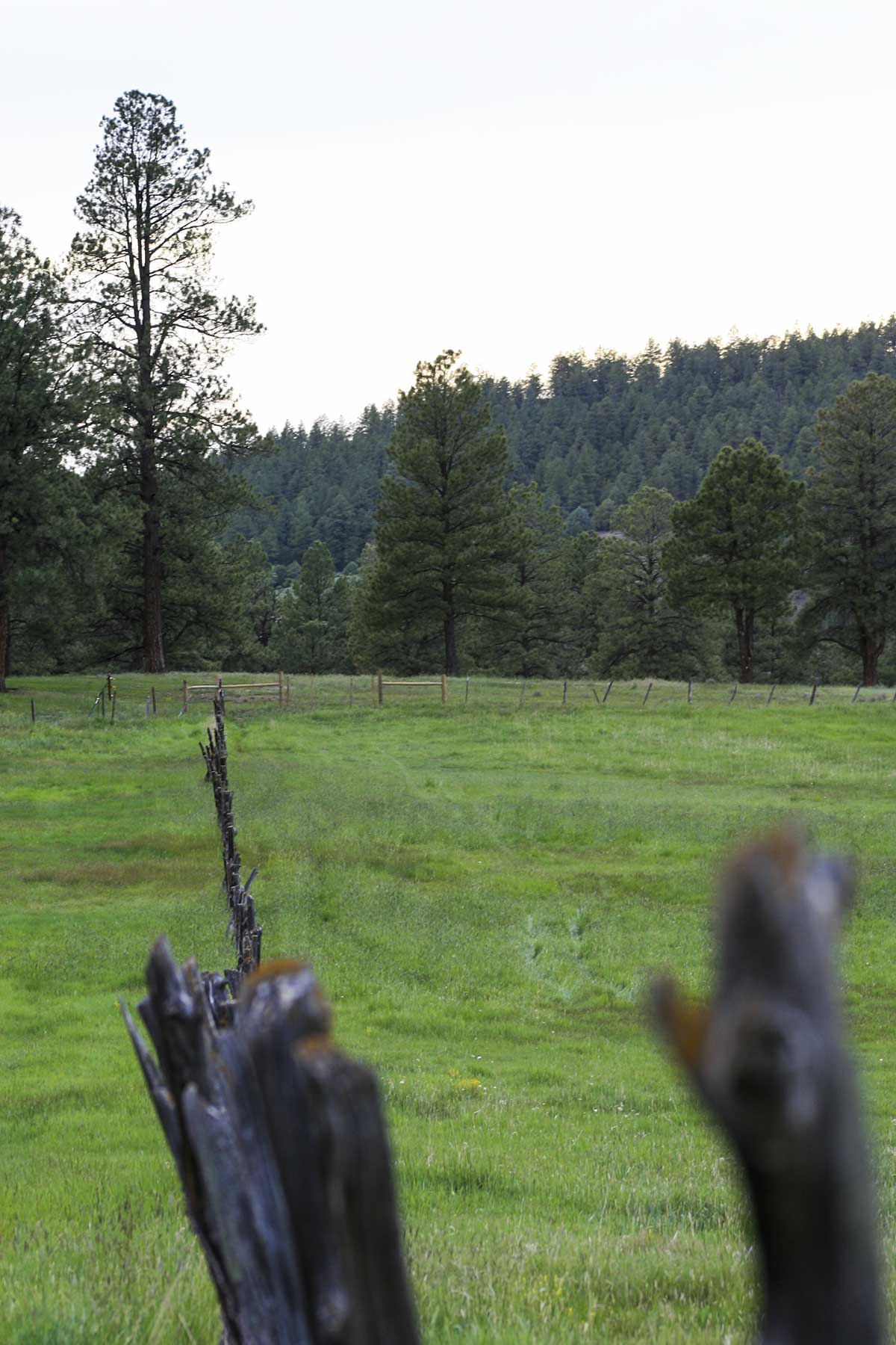 Jackson Creek Ranch property picture 36 of 44