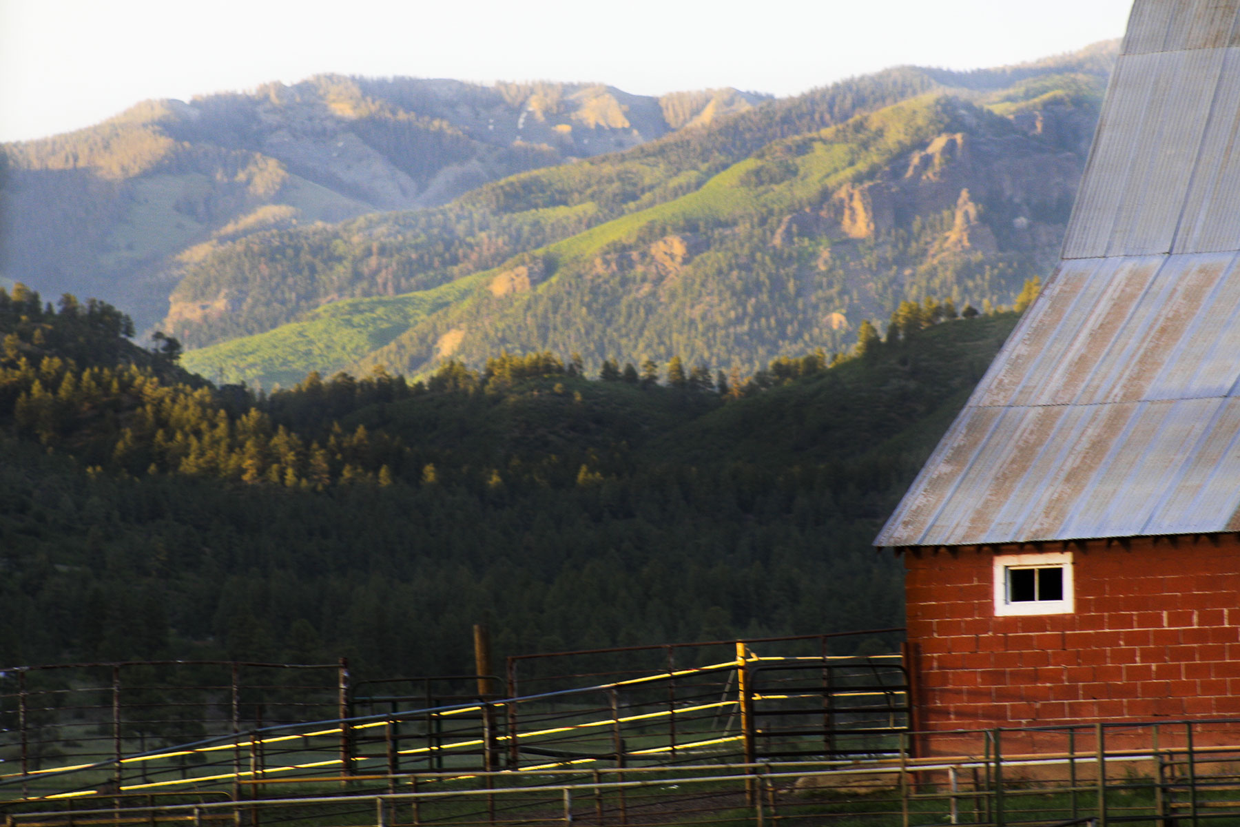 Jackson Creek Ranch property picture 41 of 44