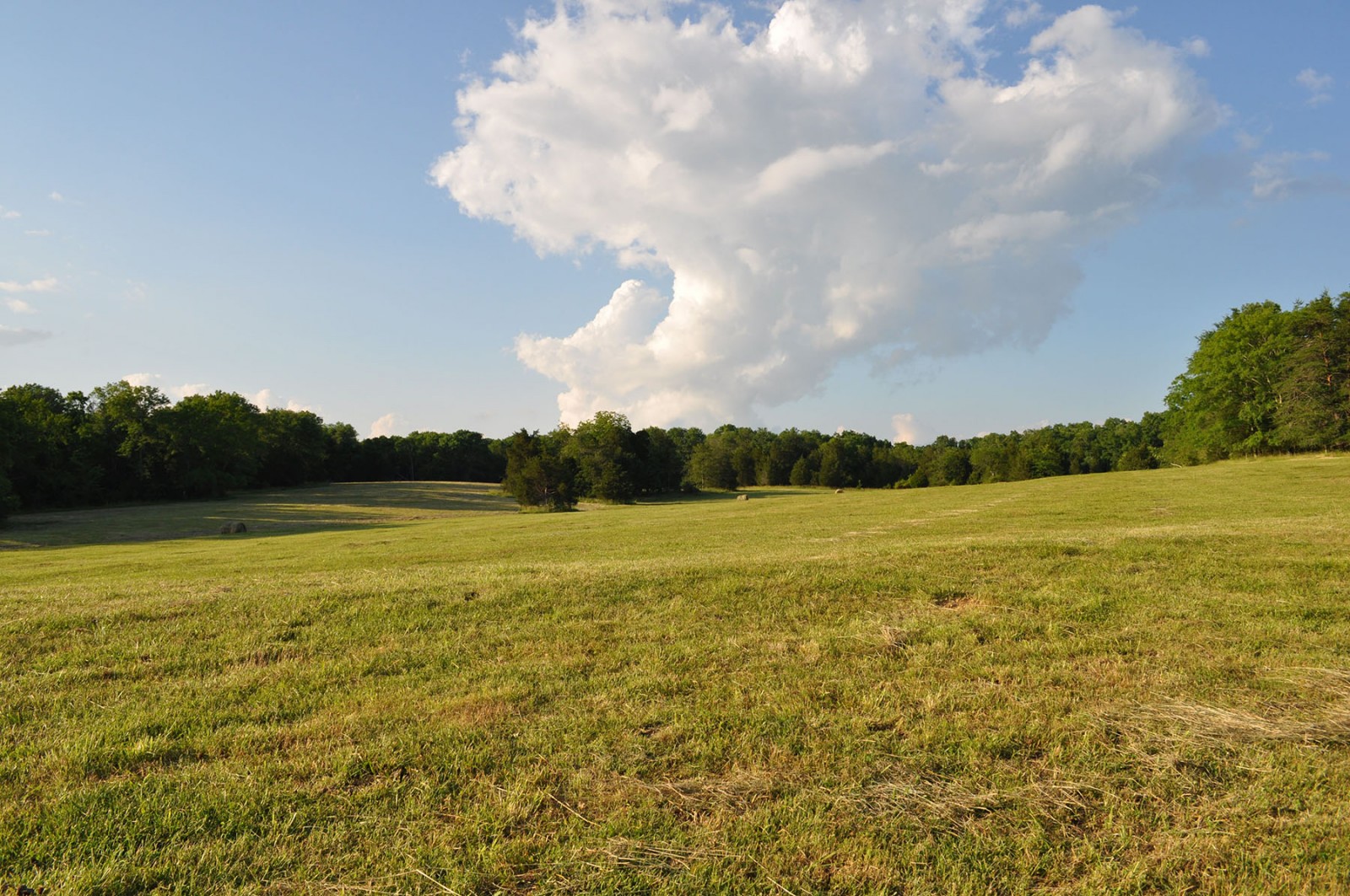 Cedar Springs Farm property picture 5 of 18