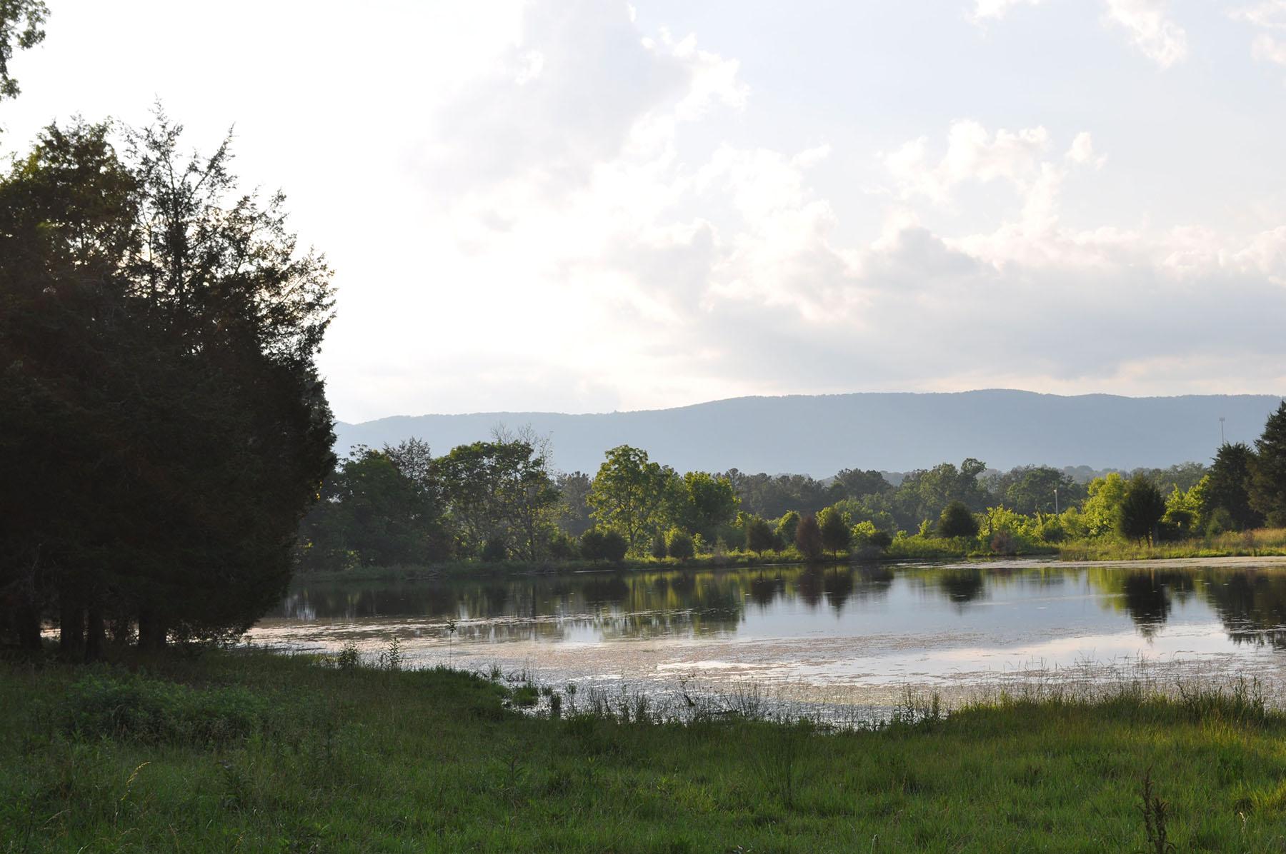 Cedar Springs Farm property picture 4 of 18