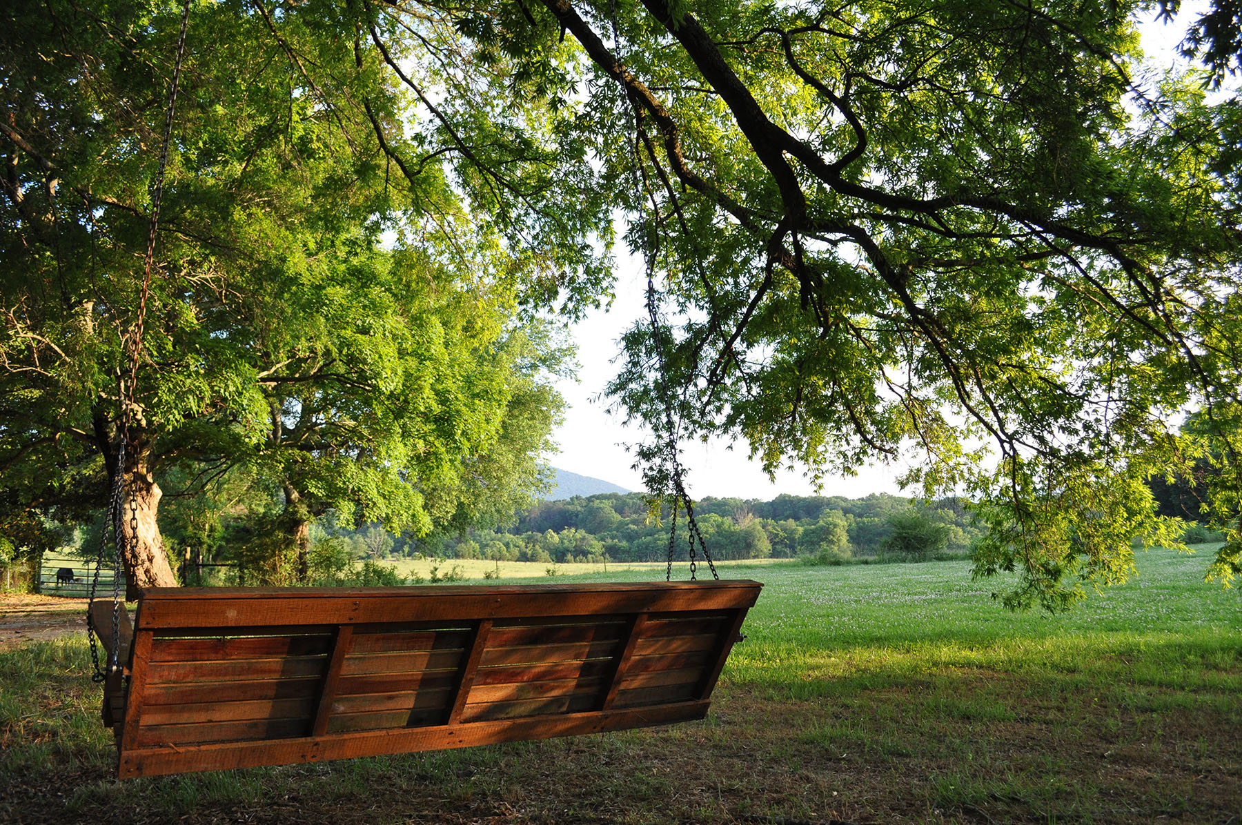 Cedar Springs Farm property picture 6 of 18