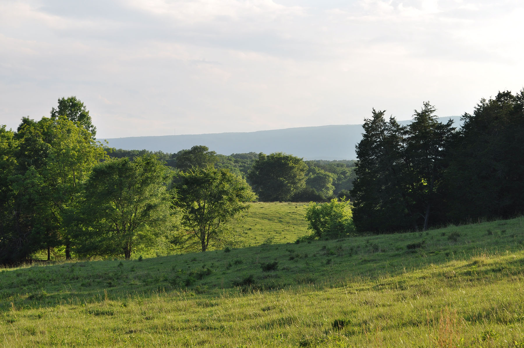Cedar Springs Farm property picture 7 of 18