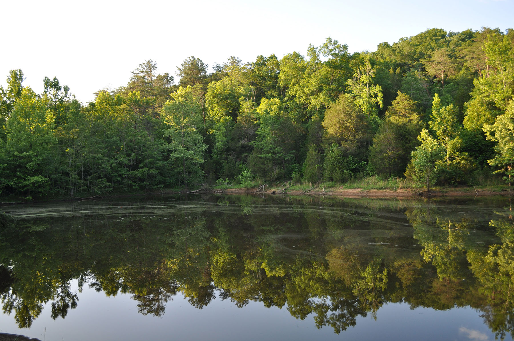 Cedar Springs Farm property picture 12 of 18
