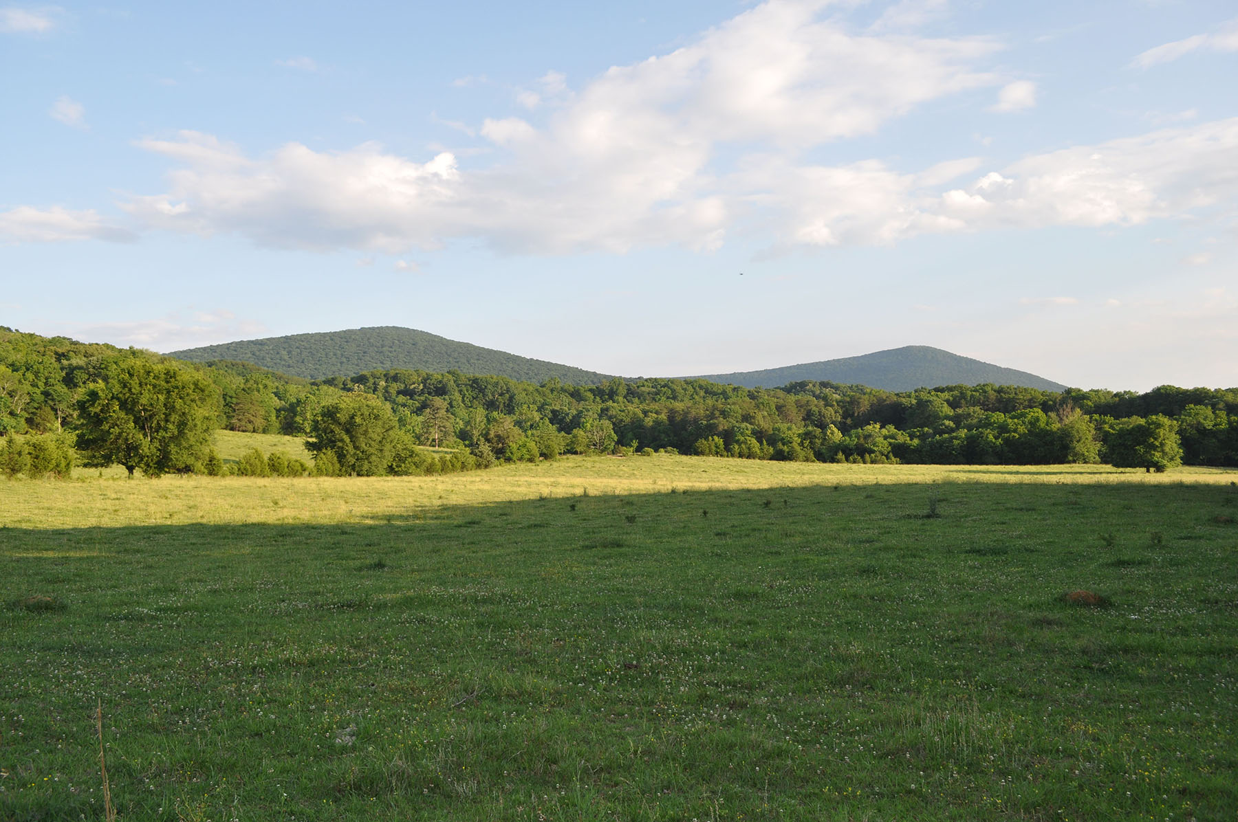 Cedar Springs Farm property picture 14 of 18