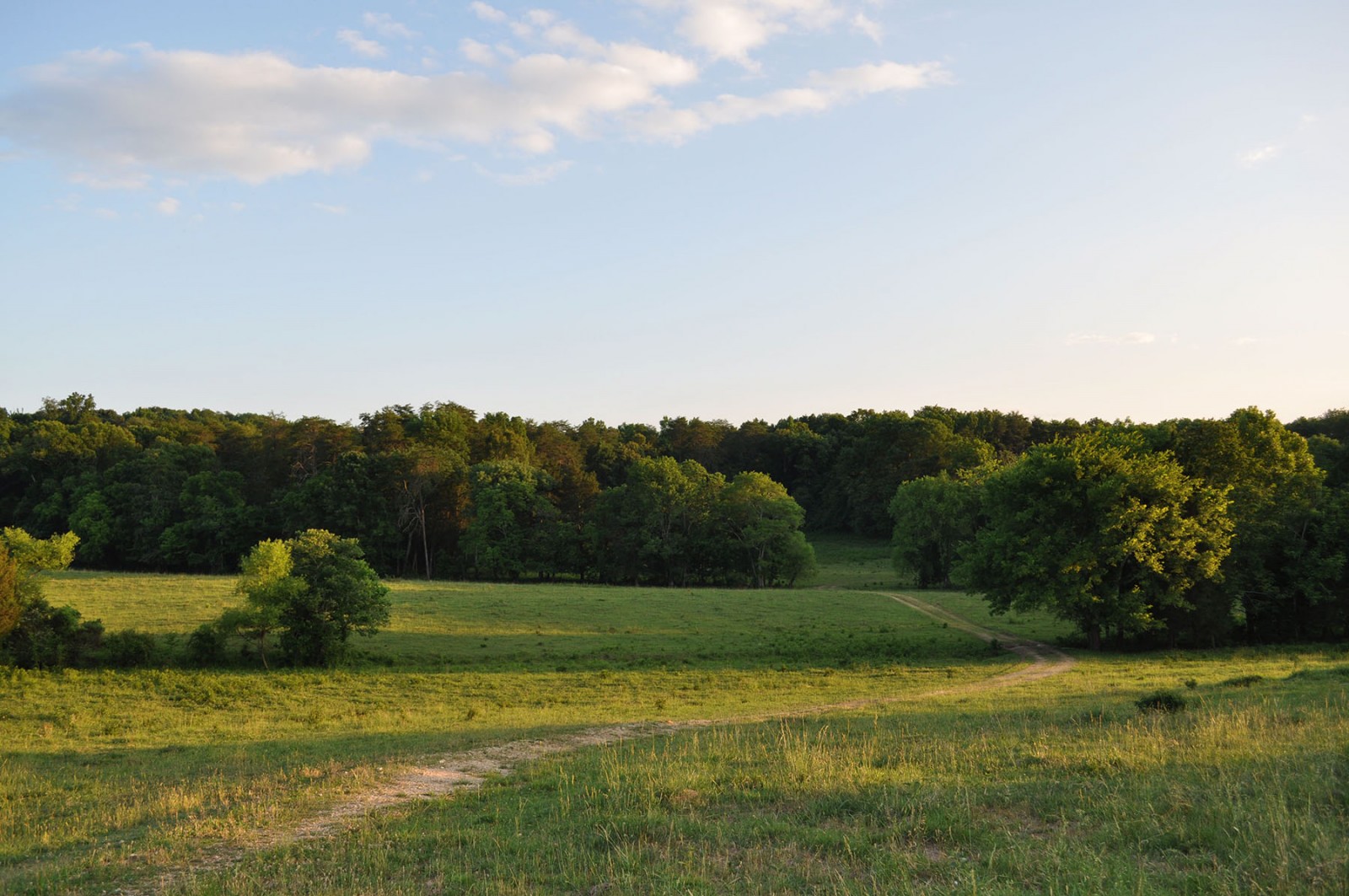 Cedar Springs Farm property picture 9 of 18