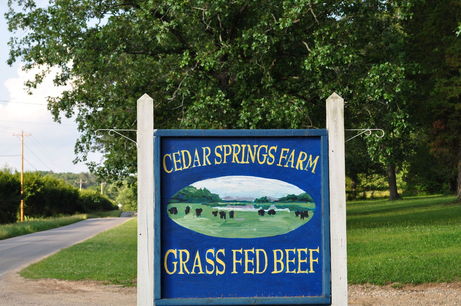 Cedar Springs Farm property picture 2 of 18