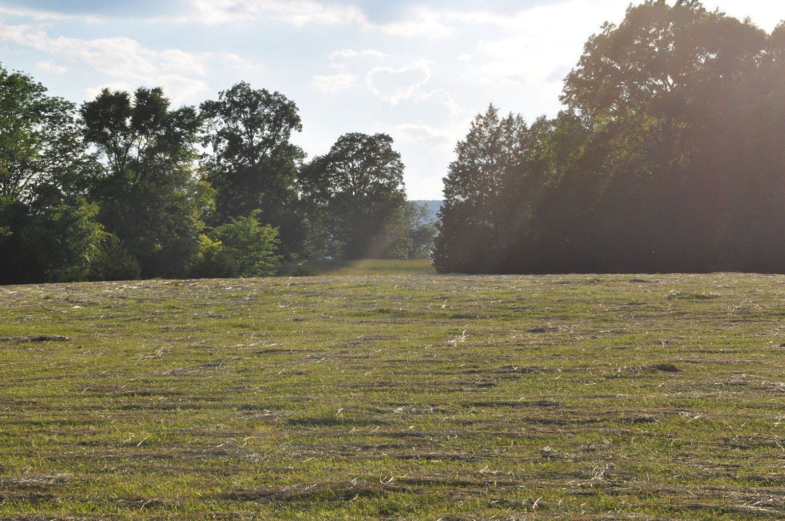 Cedar Springs Farm property picture 15 of 18