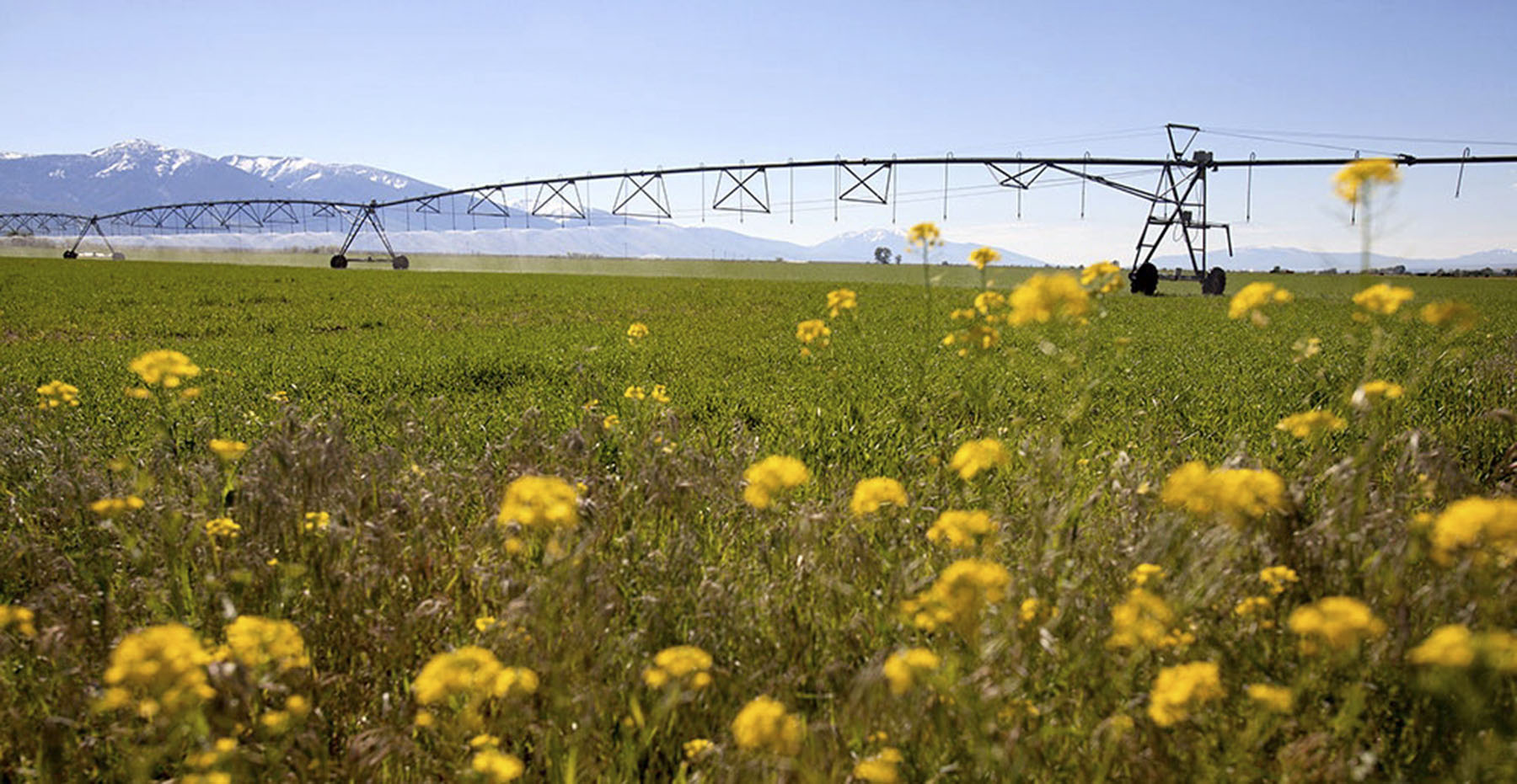 Big Springs Creek Ranch property picture 7 of 19