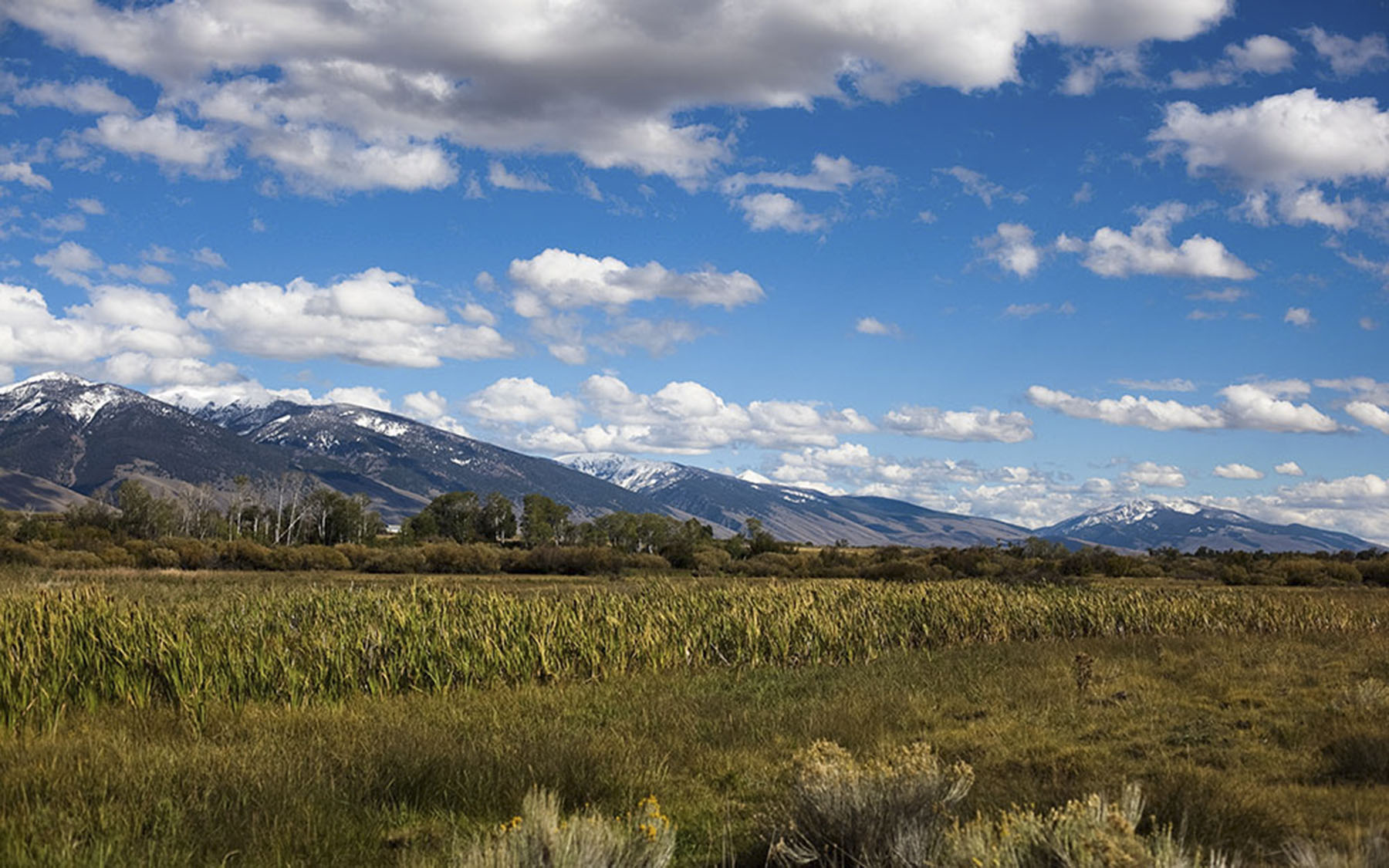 Big Springs Creek Ranch property picture 8 of 19