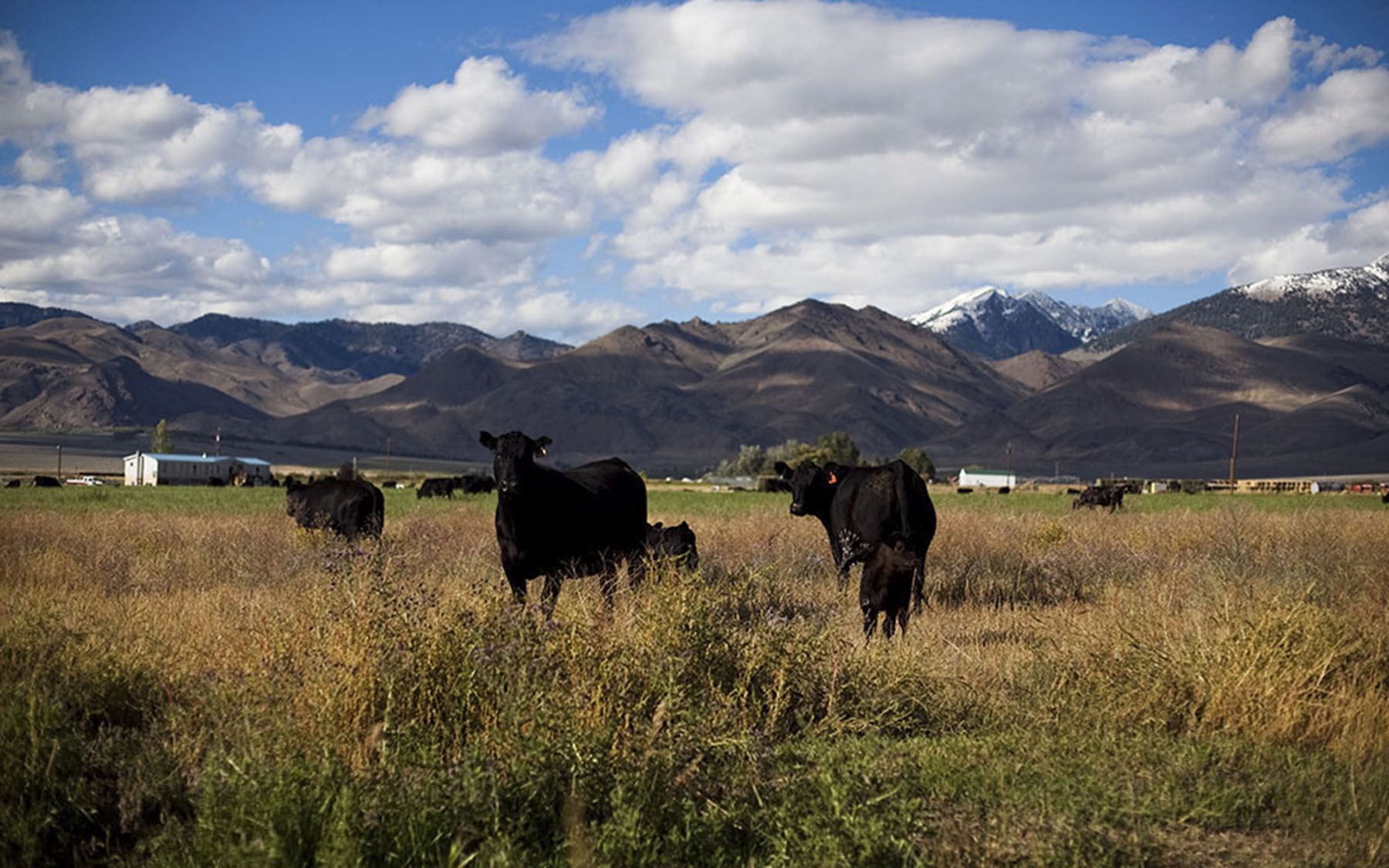 Big Springs Creek Ranch property picture 9 of 19