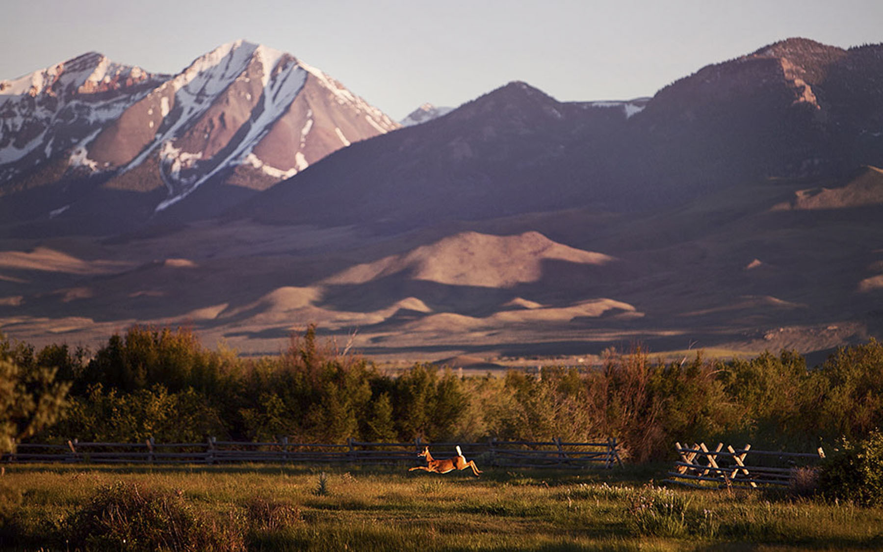 Big Springs Creek Ranch property picture 15 of 19
