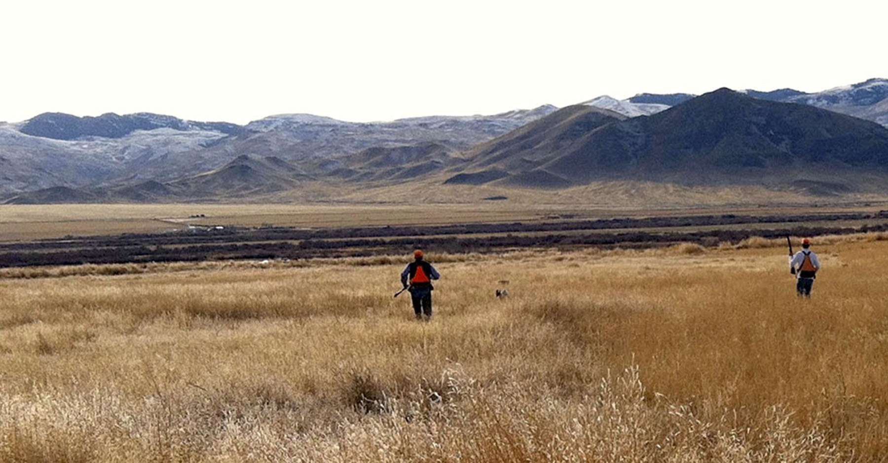 Big Springs Creek Ranch property picture 16 of 19