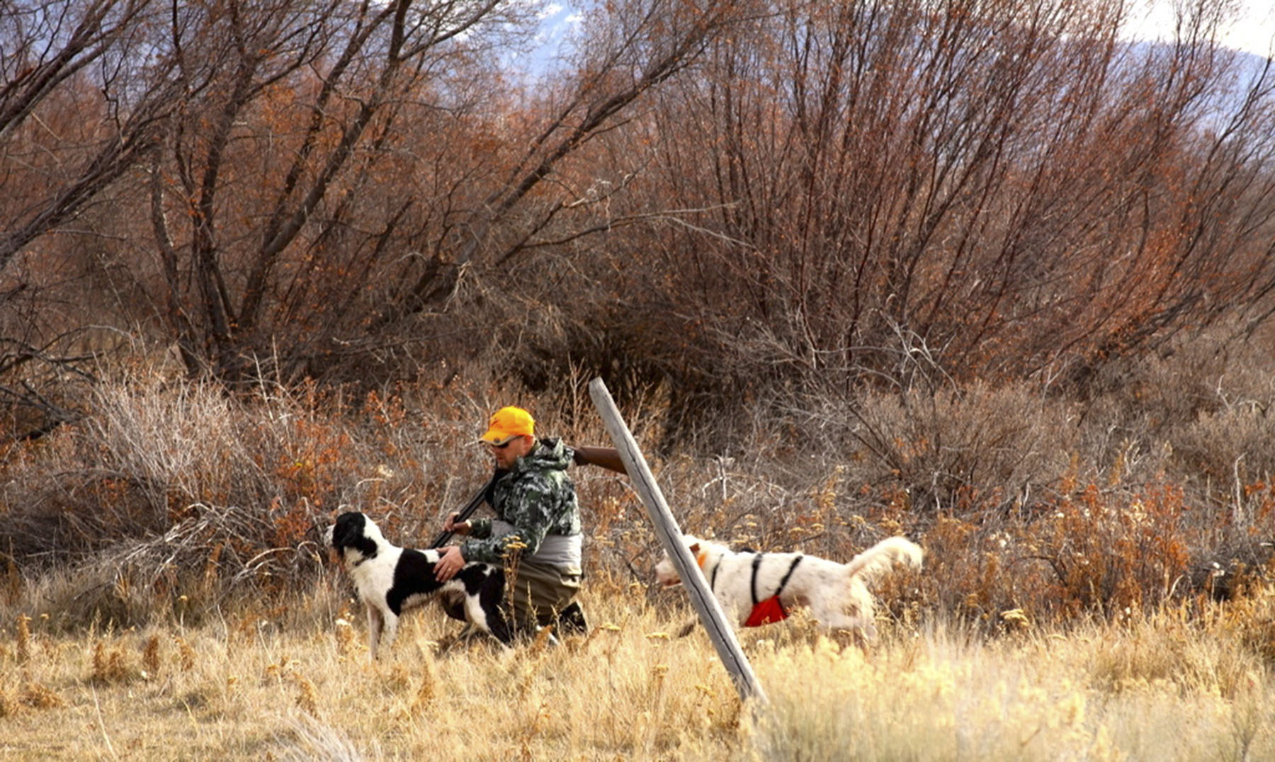 Big Springs Creek Ranch property picture 17 of 19