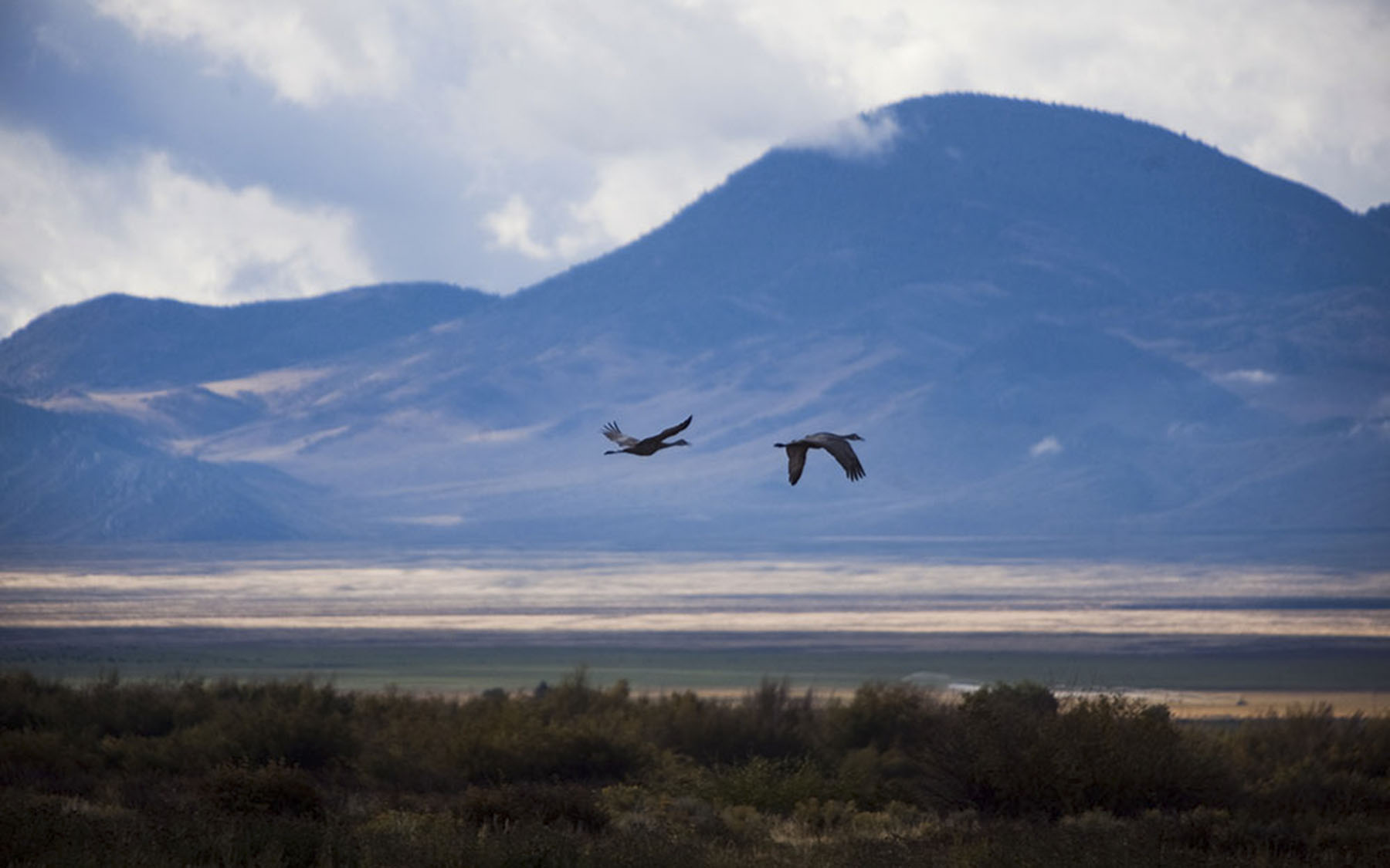Big Springs Creek Ranch property picture 18 of 19