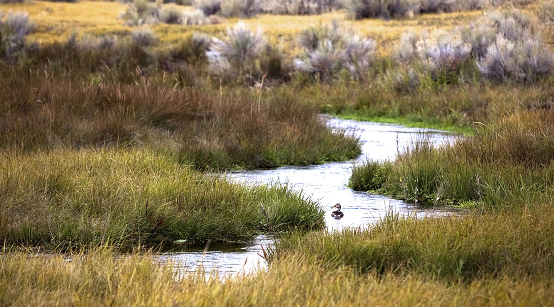 Big Springs Creek Ranch property picture 2 of 19
