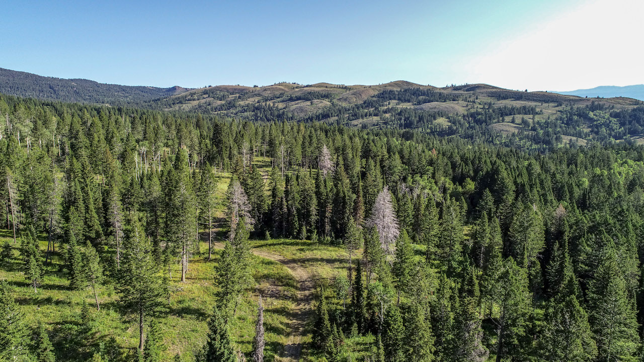 Teton Timbers Ranch property picture 5 of 55