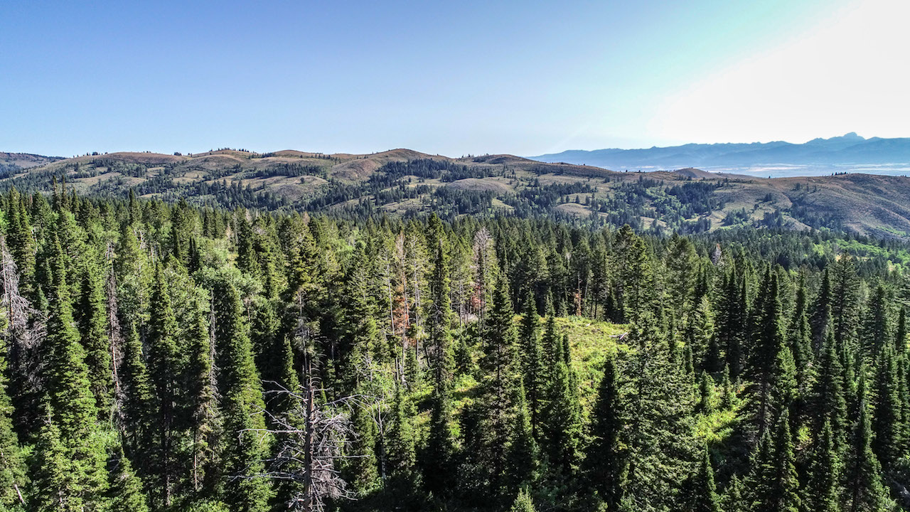 Teton Timbers Ranch property picture 8 of 55