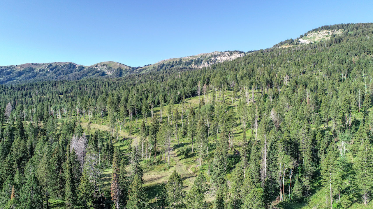 Teton Timbers Ranch property picture 6 of 55