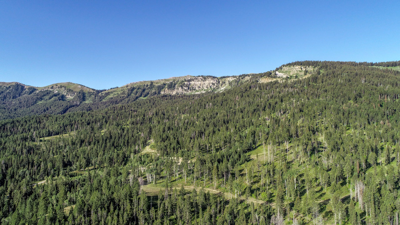 Teton Timbers Ranch property picture 4 of 55