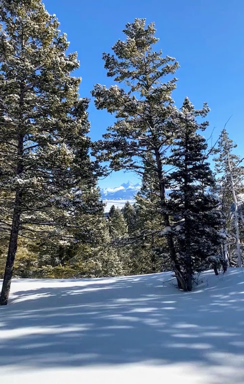 Teton Timbers Ranch property picture 29 of 55