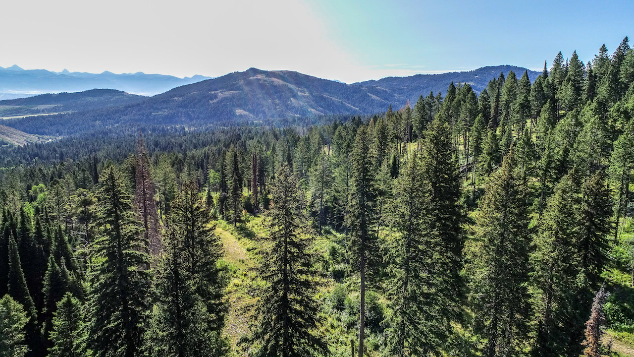 Teton Timbers Ranch property picture 7 of 55
