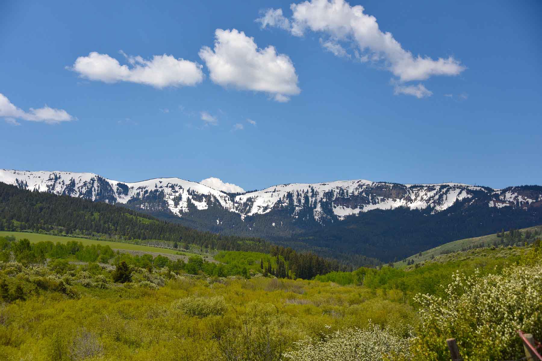 Teton Timbers Ranch property picture 2 of 55