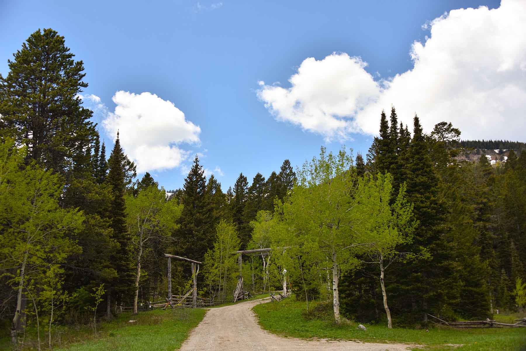 Teton Timbers Ranch property picture 12 of 55