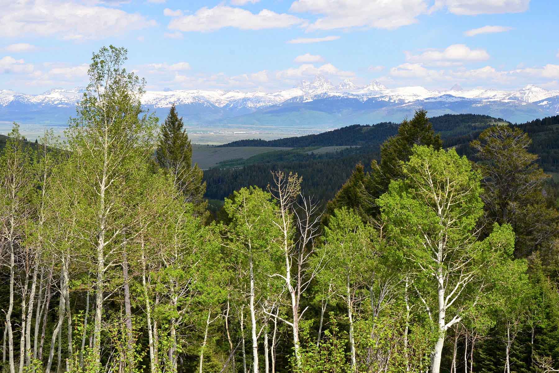 Teton Timbers Ranch property picture 14 of 55