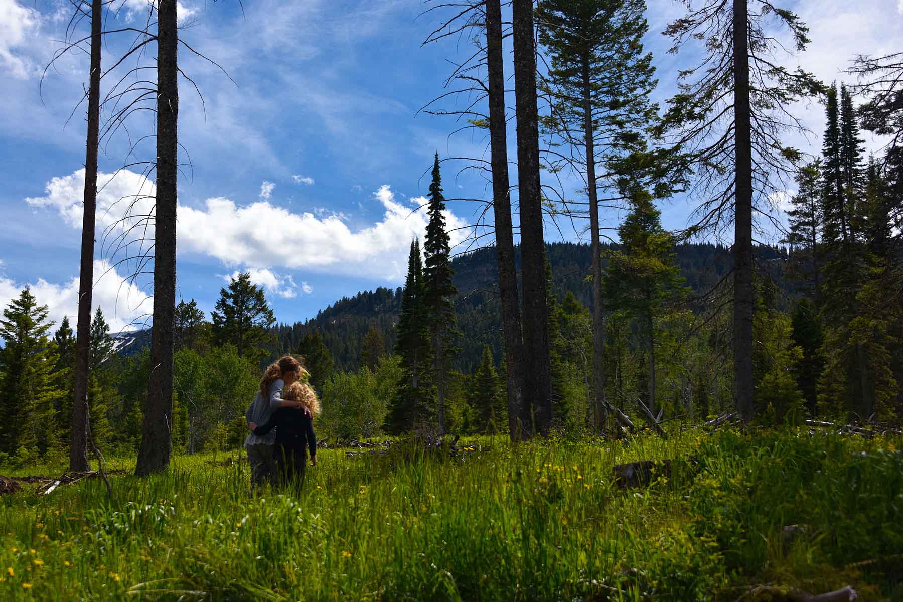 Teton Timbers Ranch property picture 17 of 55