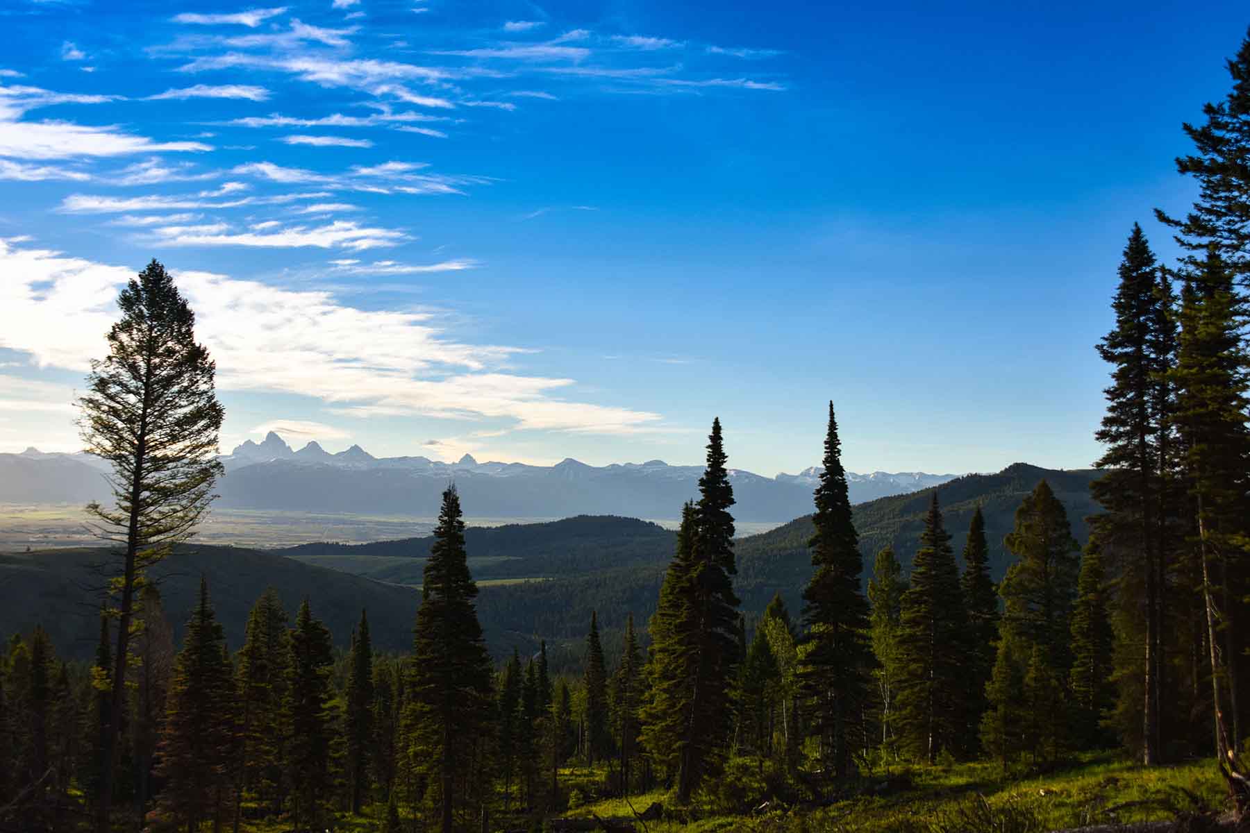 Teton Timbers Ranch property picture 18 of 55