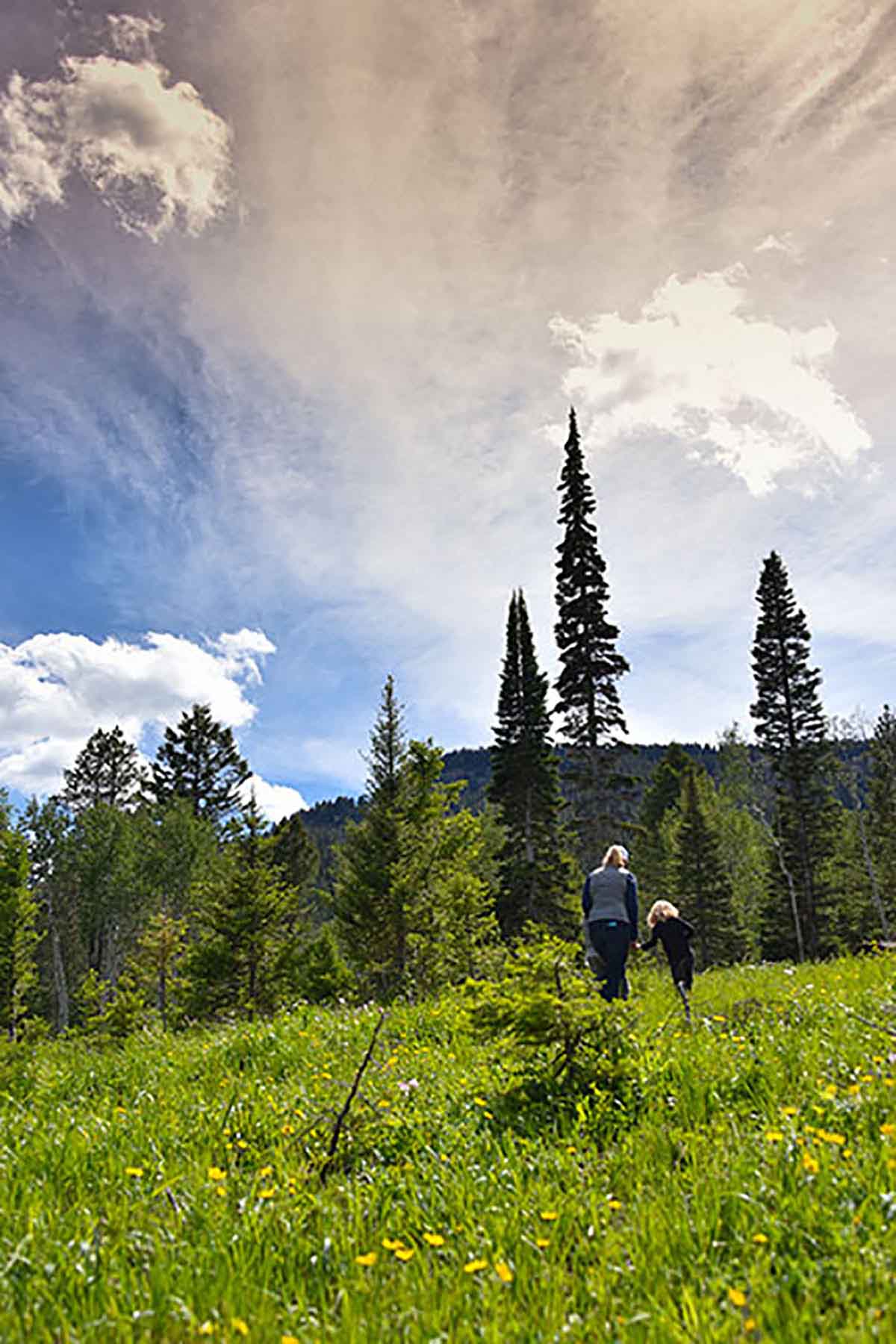 Teton Timbers Ranch property picture 19 of 55