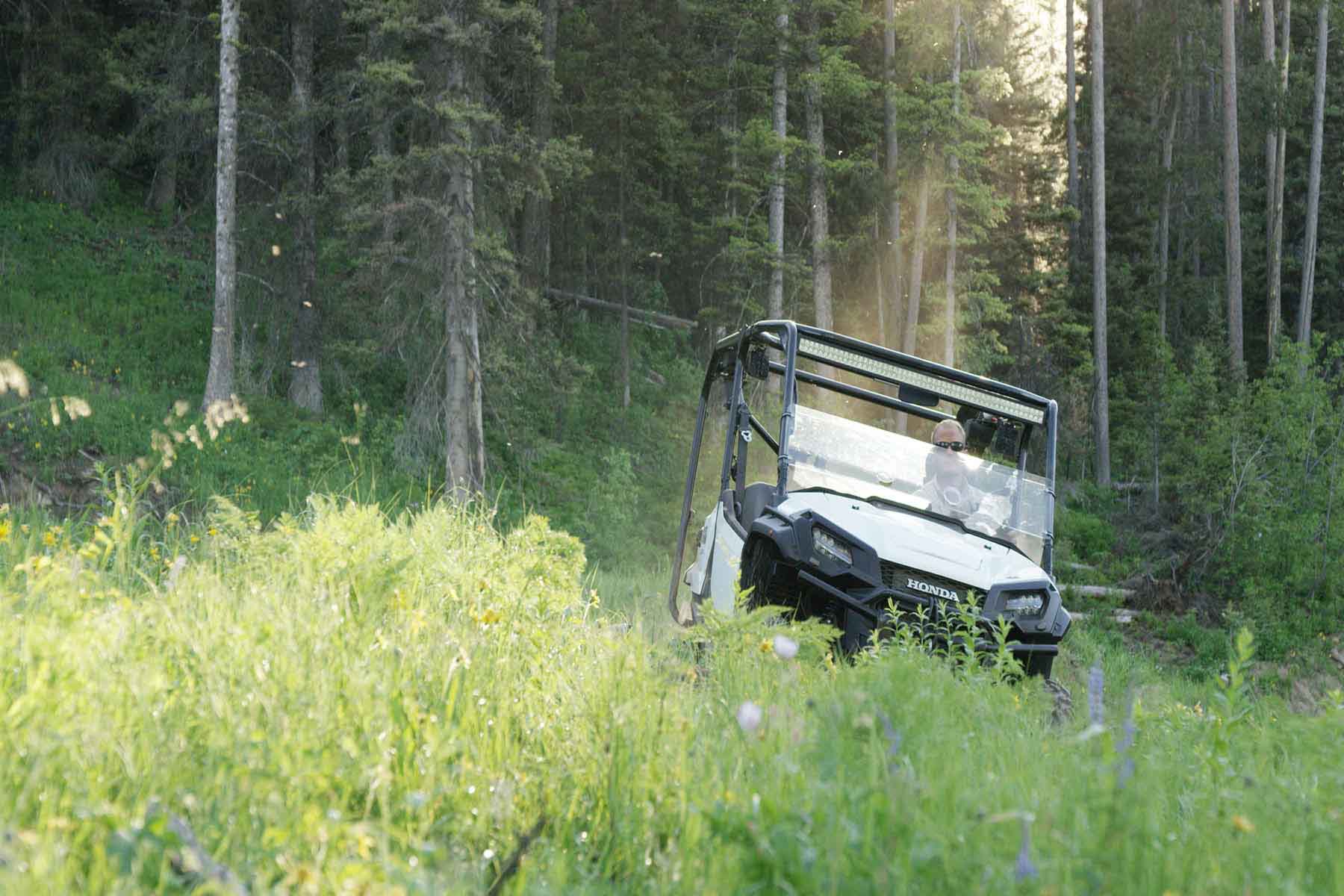 Teton Timbers Ranch property picture 20 of 55