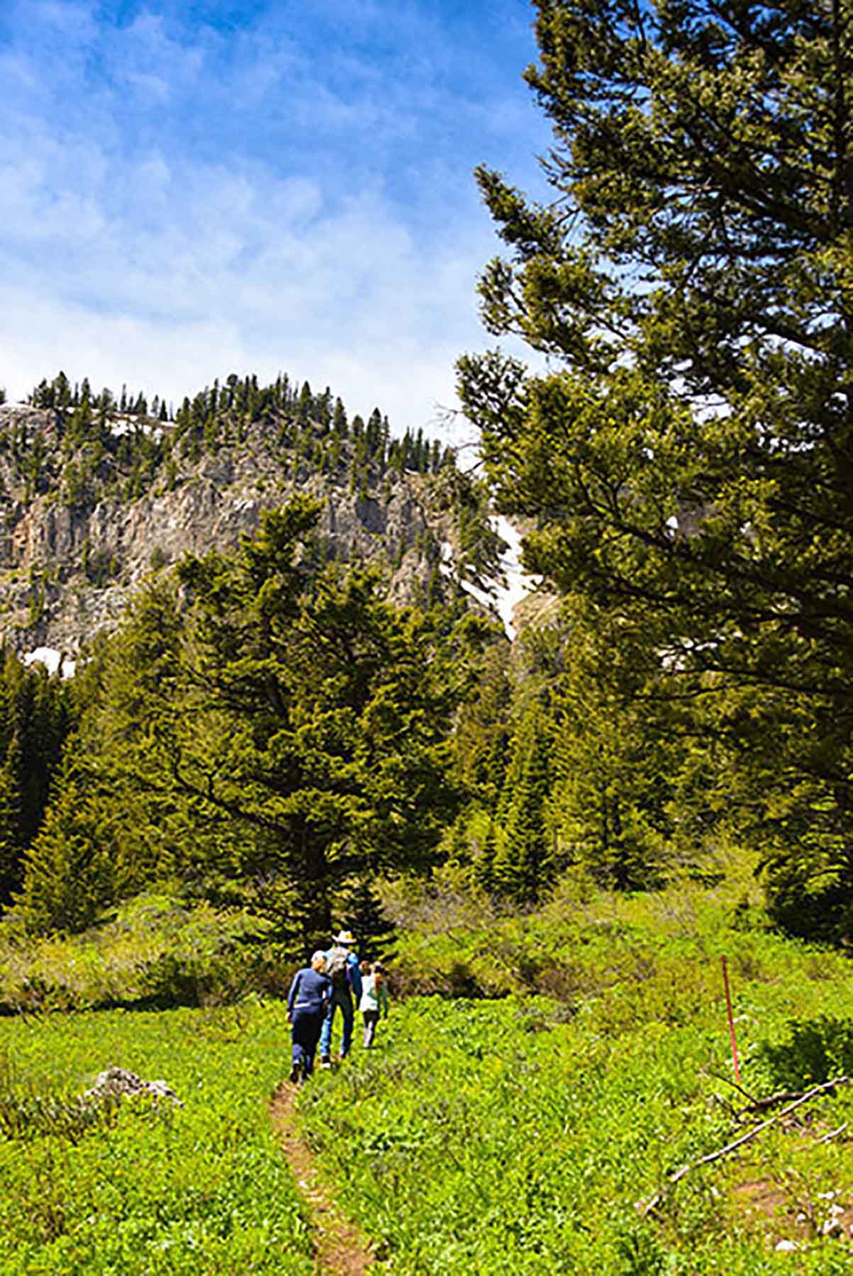 Teton Timbers Ranch property picture 21 of 55