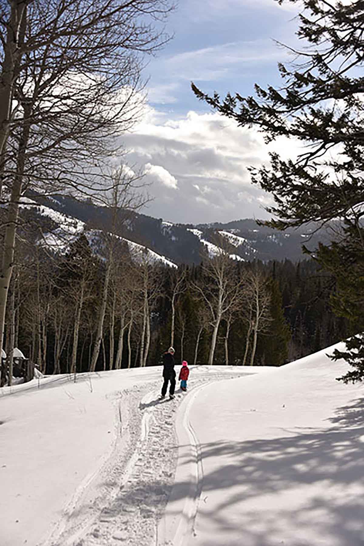 Teton Timbers Ranch property picture 30 of 55