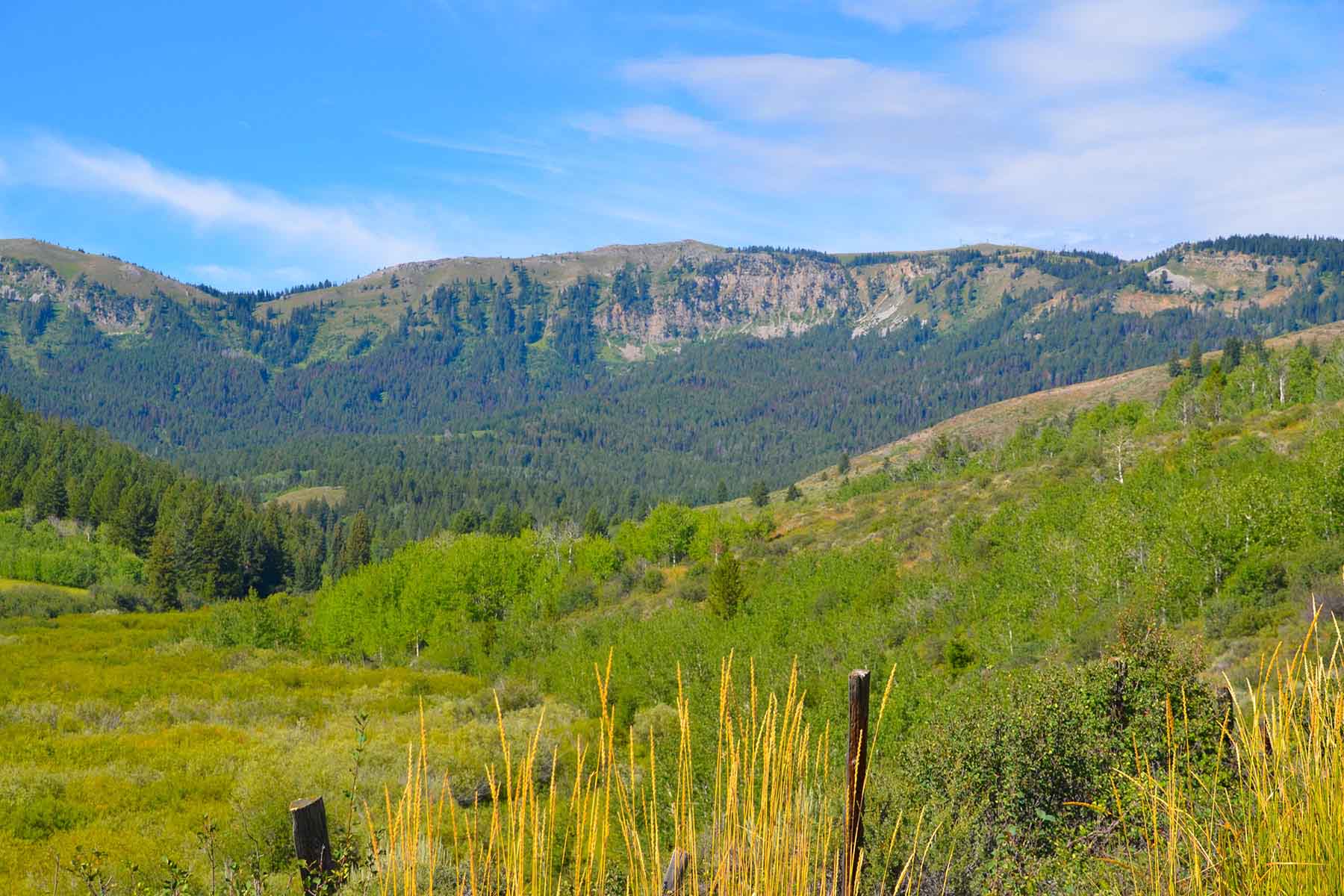 Teton Timbers Ranch property picture 39 of 55