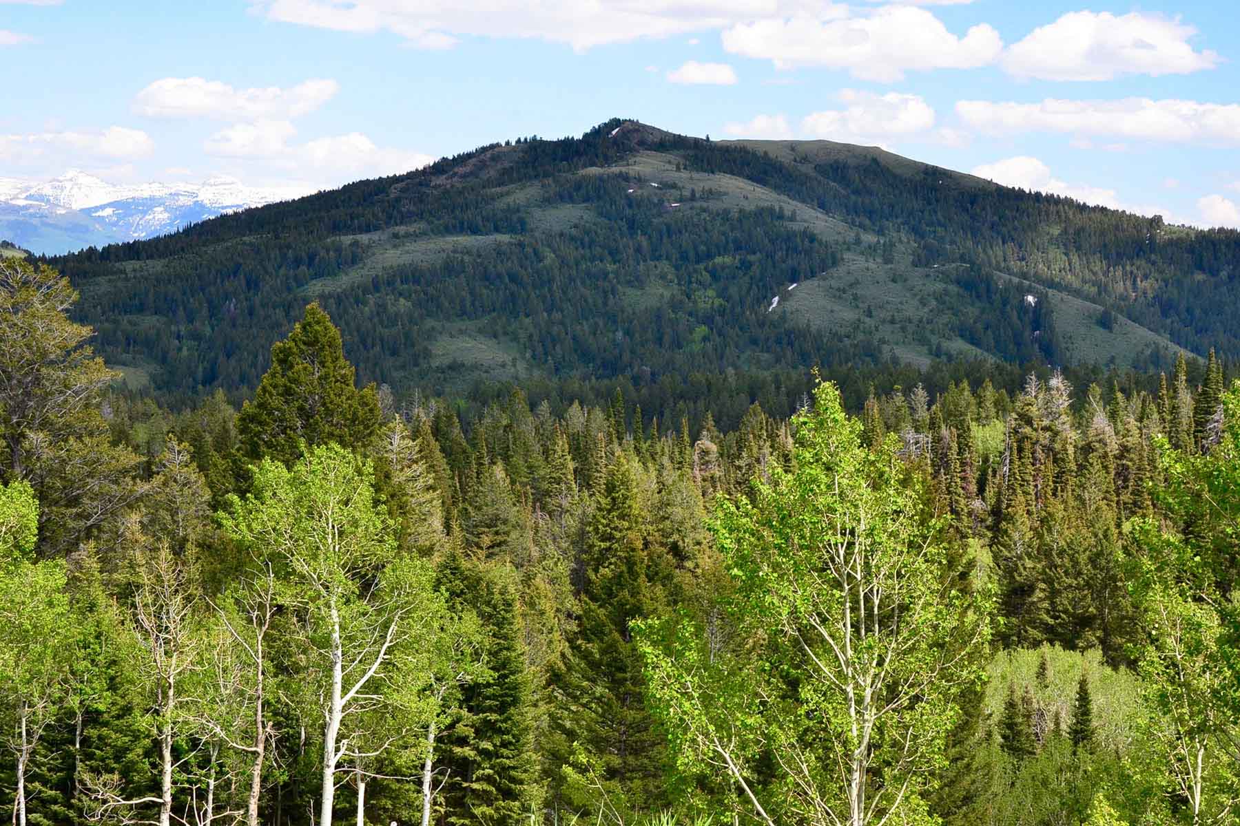 Teton Timbers Ranch property picture 41 of 55