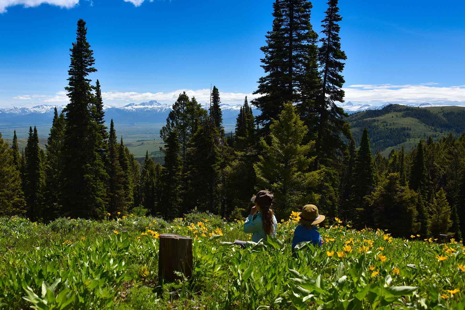 Teton Timbers Ranch property picture 42 of 55