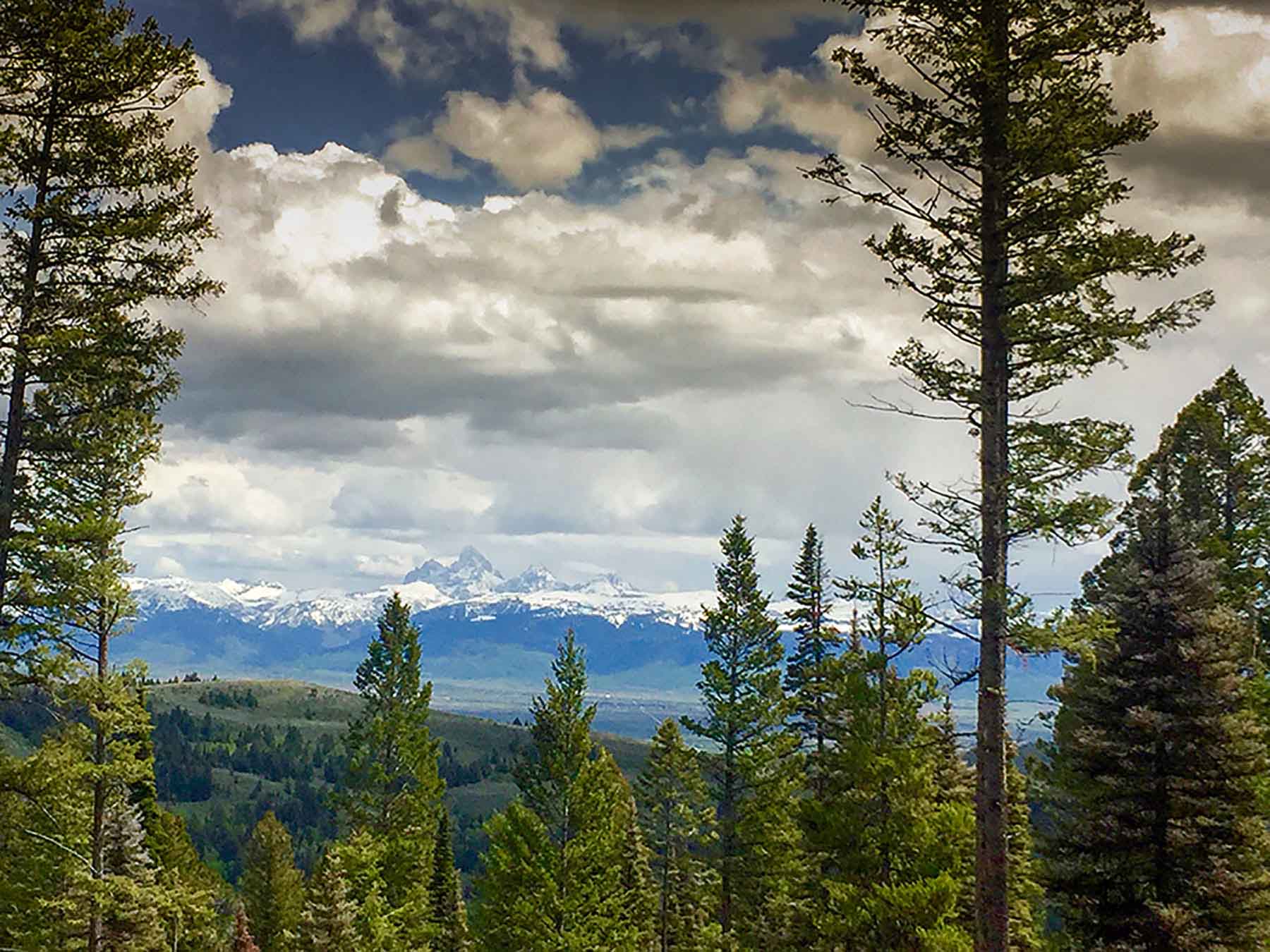 Teton Timbers Ranch property picture 43 of 55