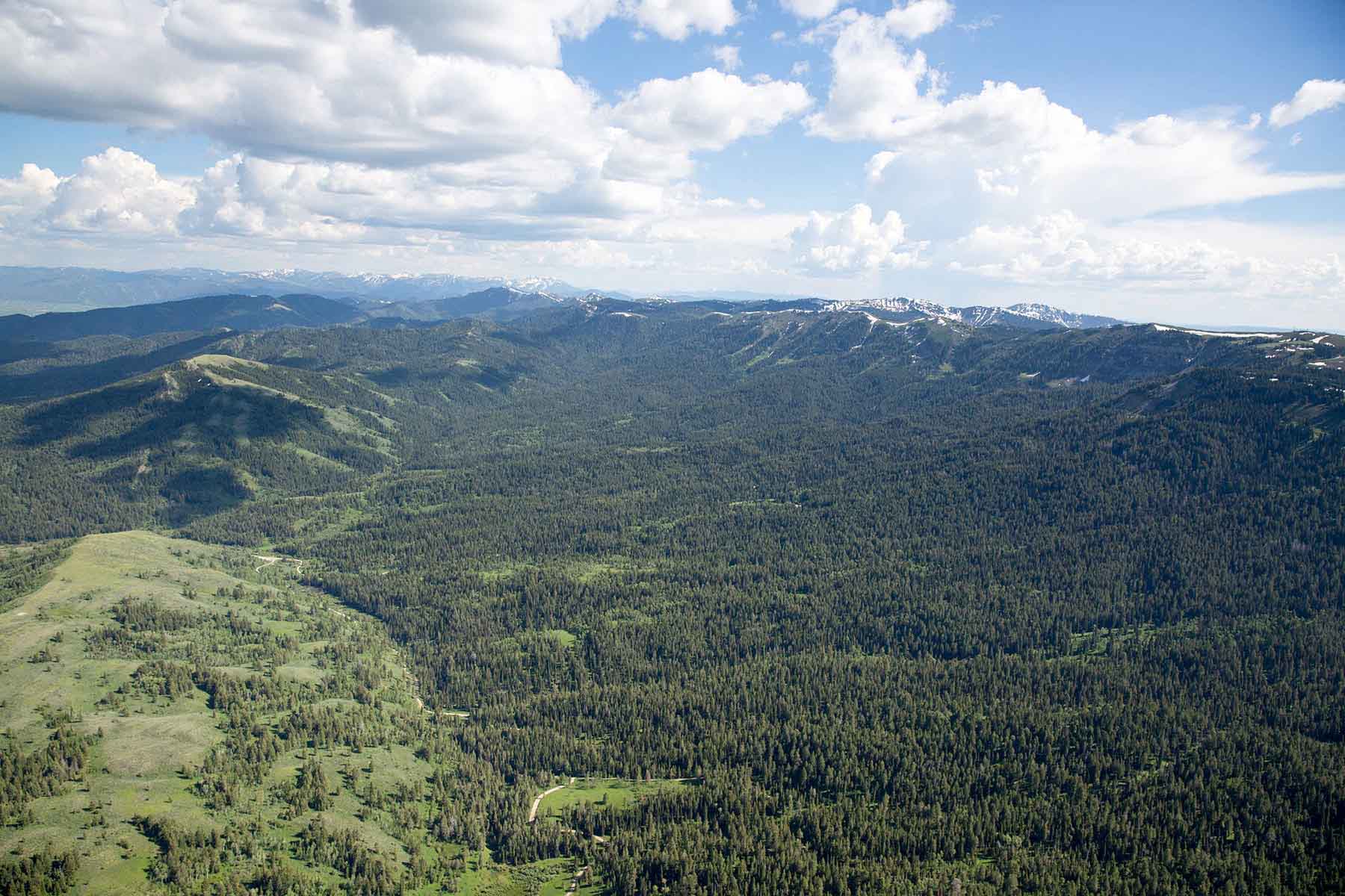 Teton Timbers Ranch property picture 45 of 55
